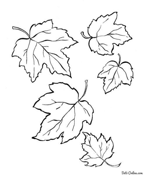 Осенние листья раскраска для детей