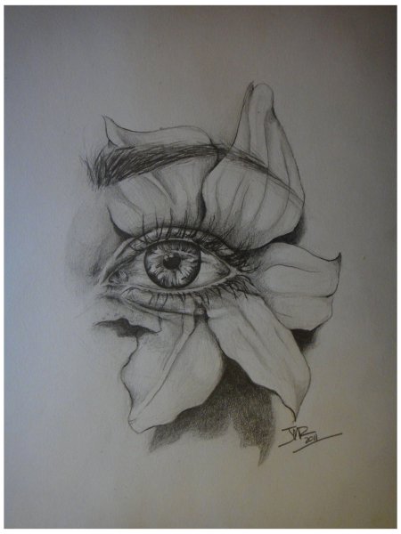 Глаза рисунок