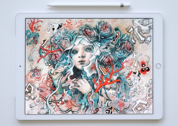 Procreate планшете IPAD