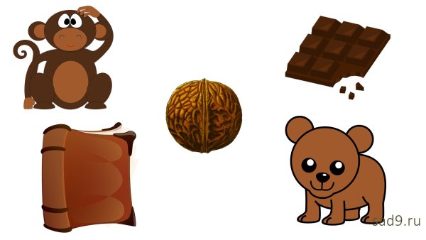 Предметы коричневого цвета