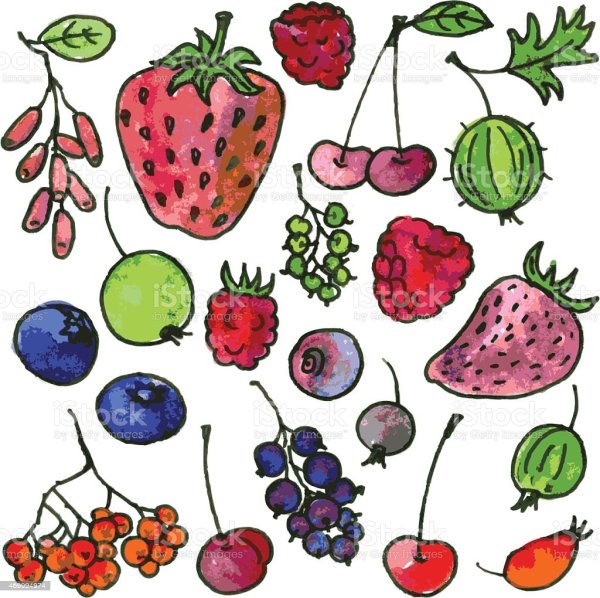 Рисунки для срисовки ягоды