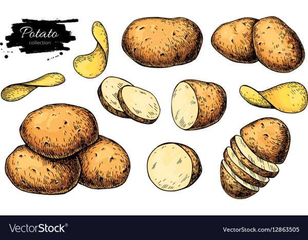 Нарисовать картошку