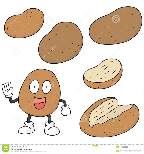 Небольшой рисунок картошки