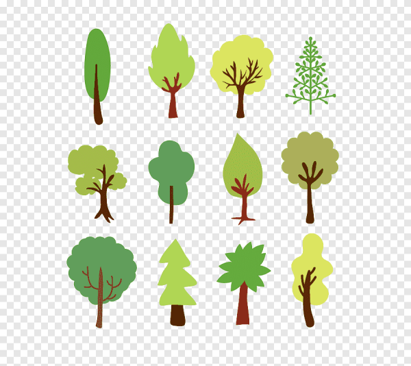 Силуэт лиственного дерева