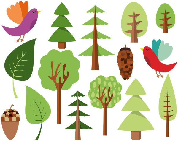 Аппликация лес