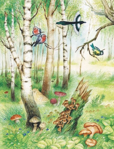 Пришвин в лесу