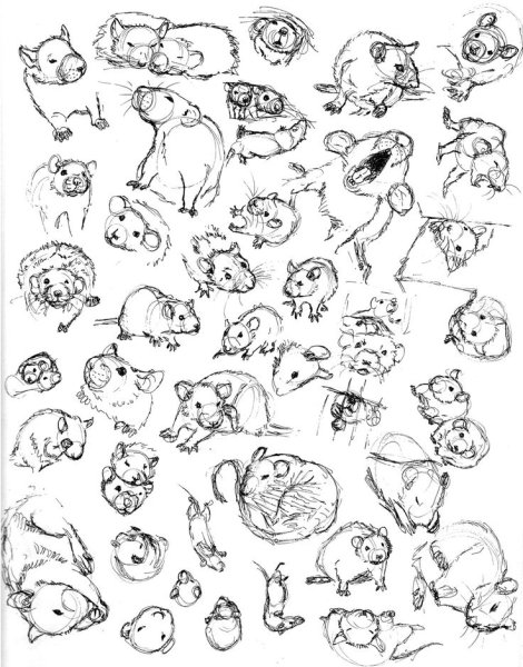 Маленькие рисуночки