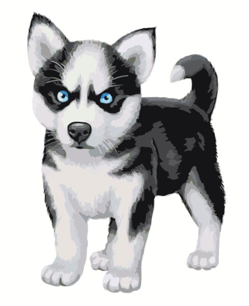 Раскраска хаски щенок