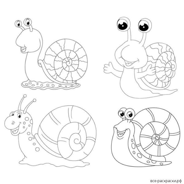 Улитка раскраска для детей