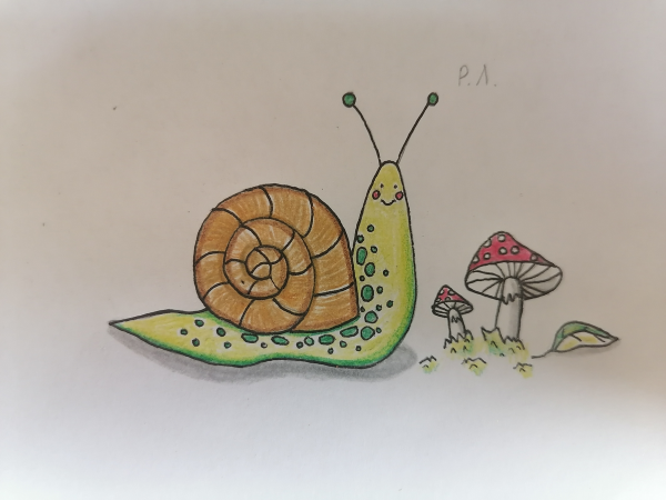 Улитка раскраска