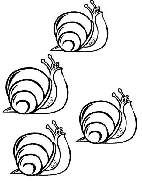 Зарисовки улитки