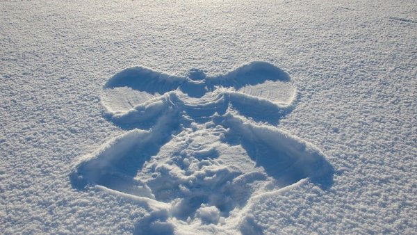 Саймон Бек картины