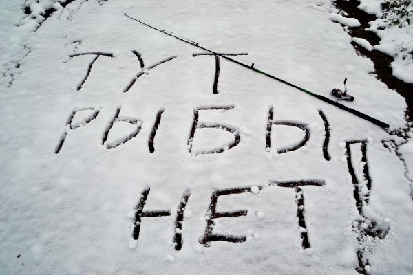 Сердечко на снегу