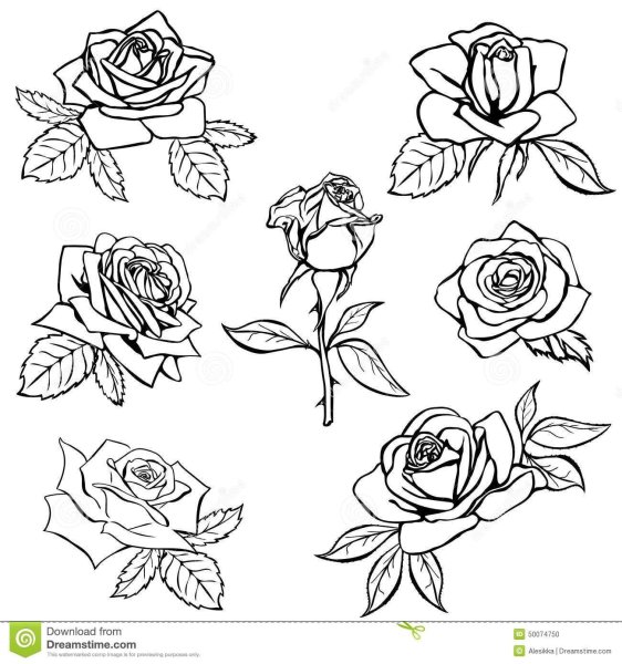 Розы раскраска маленькие