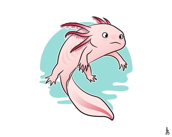 Аксолотль пони Таун