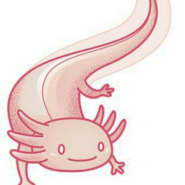 Аксолотль референсы