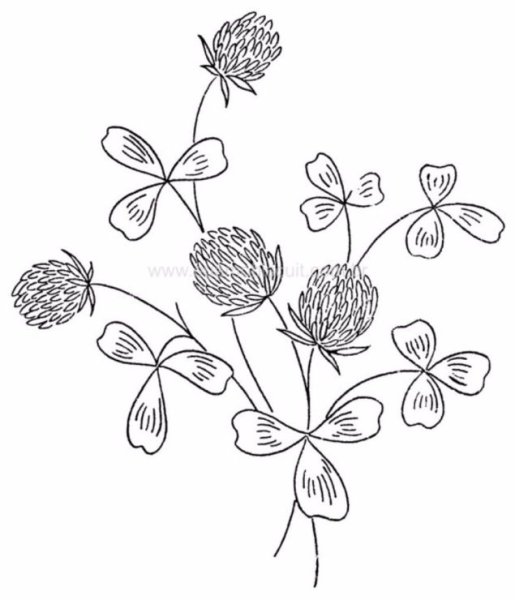 Вышивка гладью цветы клевера