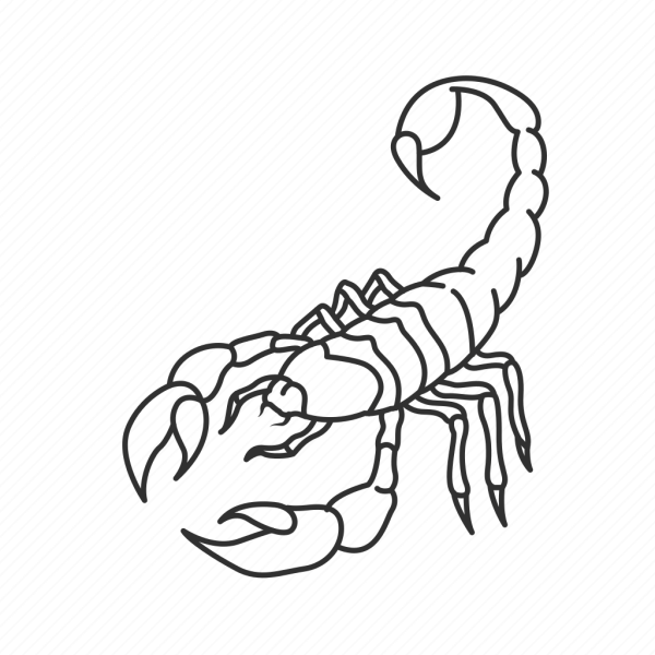 Нарисовать скорпиона