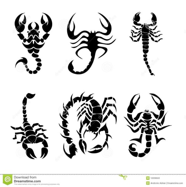 Тату Скорпион маленький эскизы