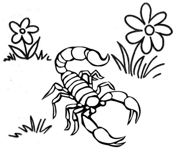 Скорпион трафарет