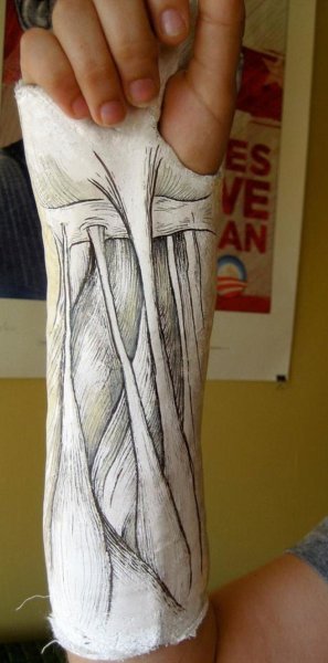 Гипсы для рисования