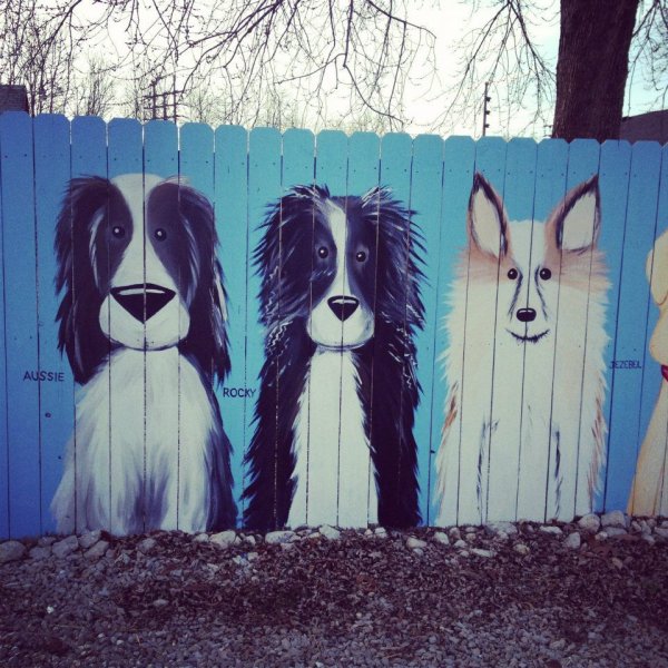 Рисуем на заборе