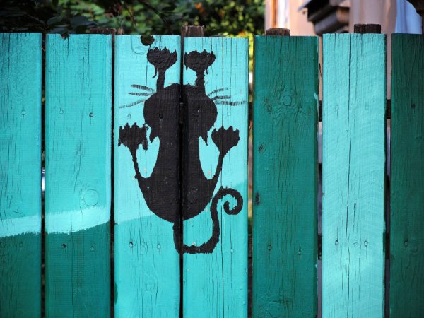 Забор рисунок