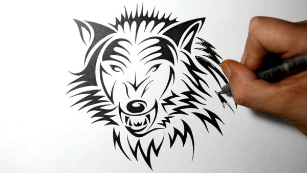 Лёгкие рисунки карандашом прикольные