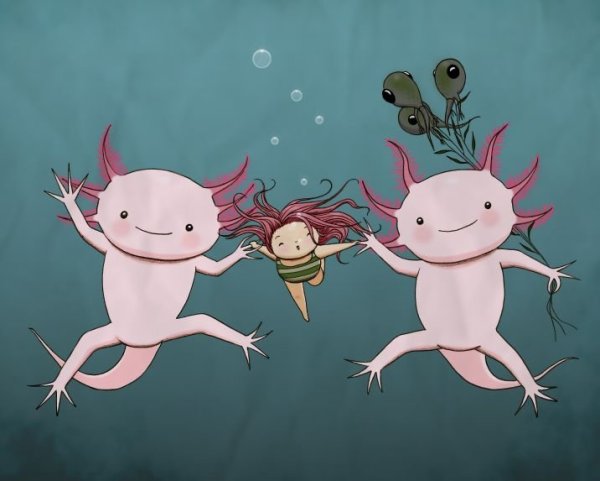 Аксолотль рисуночек