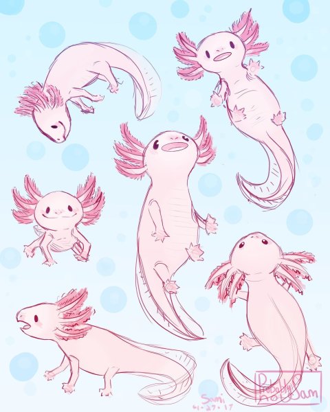 Лайн фурри аксолотль