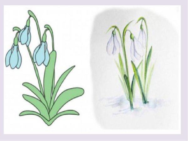 Подснежники рисунок