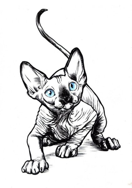 Сфинкс рисунок