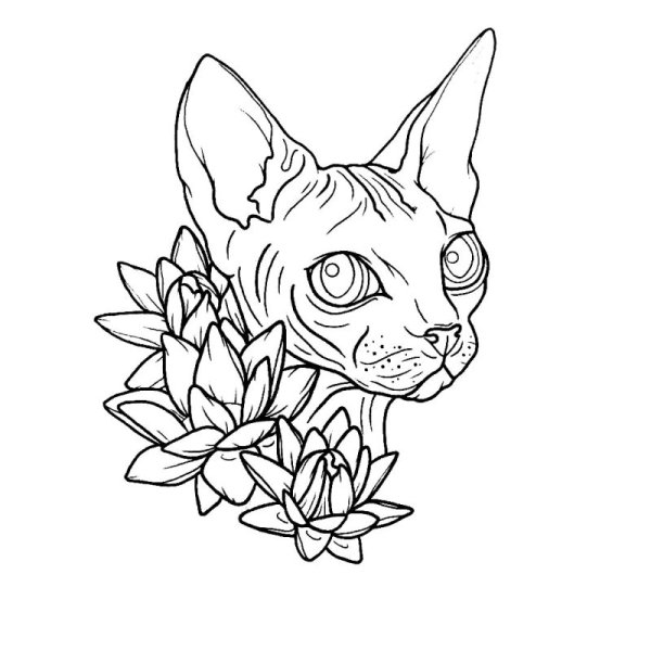 Тату сфинкс эскиз