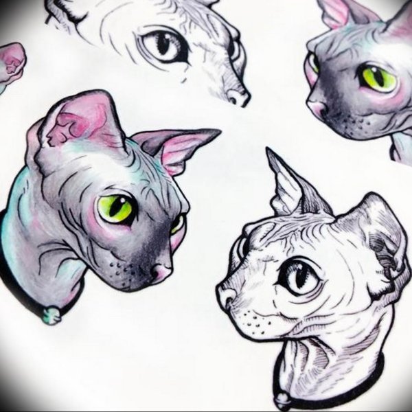 Тату канадский сфинкс эскиз