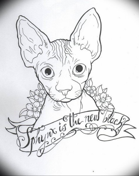 Эскиз тату сфинкс кот