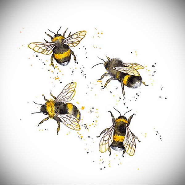 Пчела раскраска