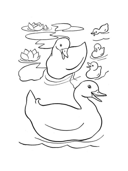 Гусь раскраска для детей