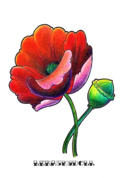 Рисунки маков для детей