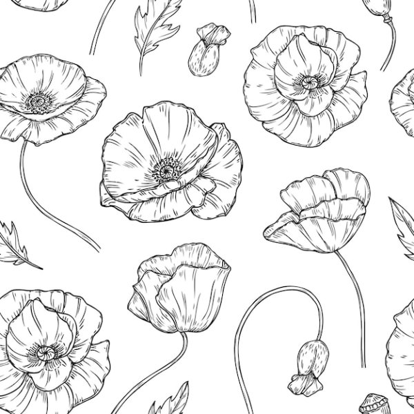 Мак цветок рисунок скетч маркером