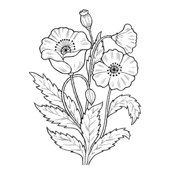 Трафарет для вышивки гладью полевые цветы