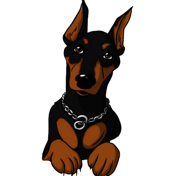 Собака Доберман