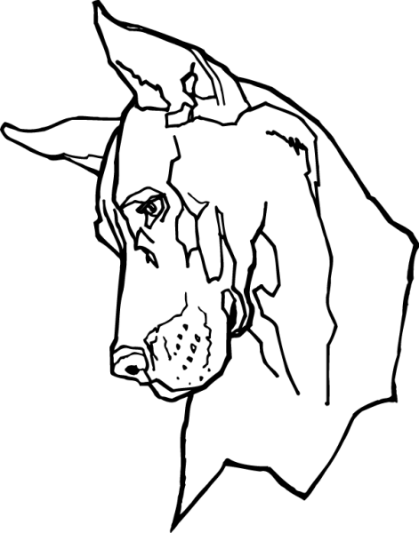 Доберман Качалова