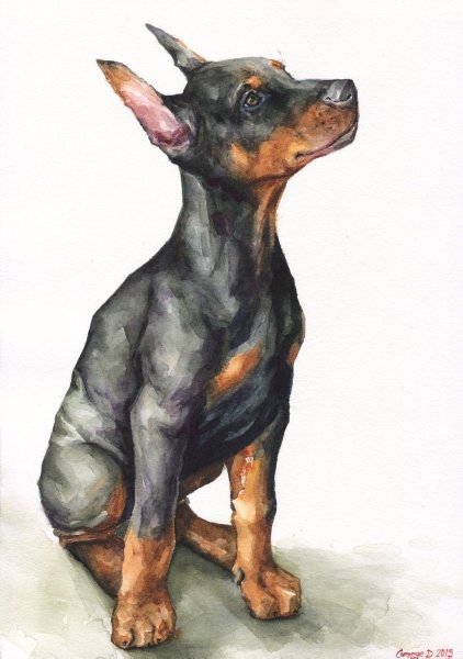 Лайнарт Доберман