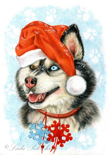 Дед Мороз арт