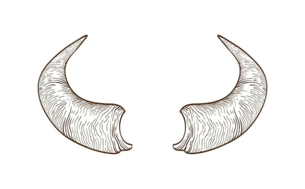 Рога коровы шаблон