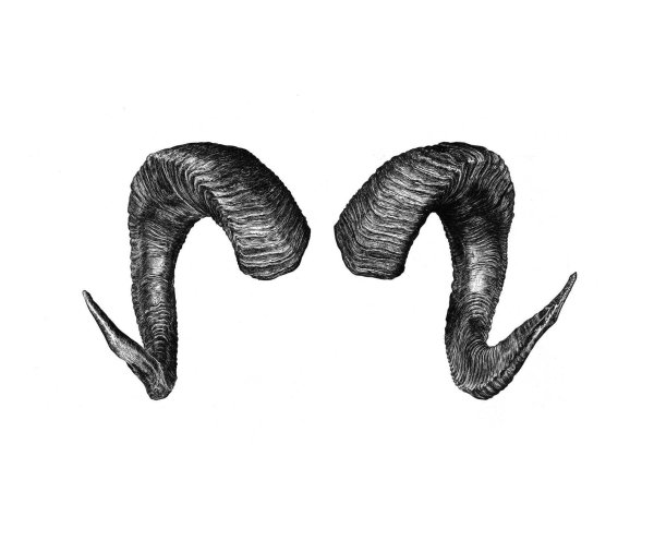 Закрученные рога дьявола