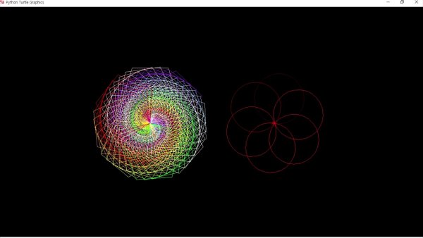 Пайтон Тертл