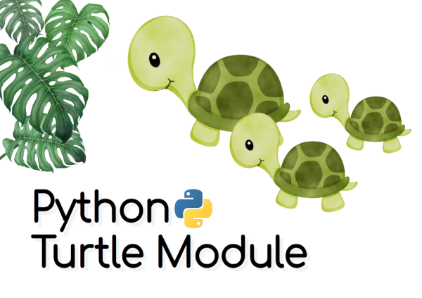 Пайтон Turtle