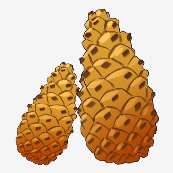 Шишки раздаточный материал для детей