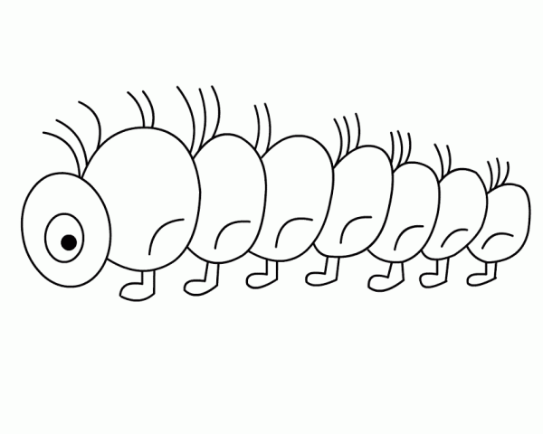 Гусеница - сороконожка